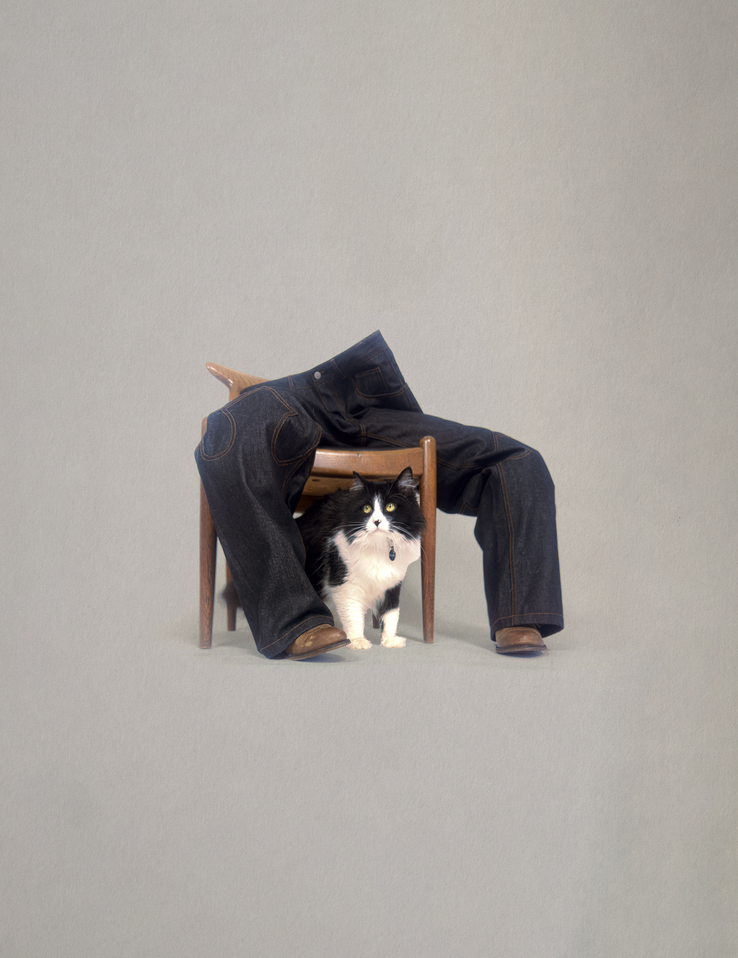 Tarnish Jeans with Cat